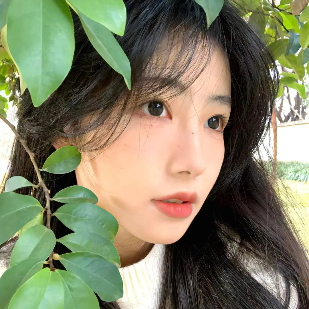 死亡预报
